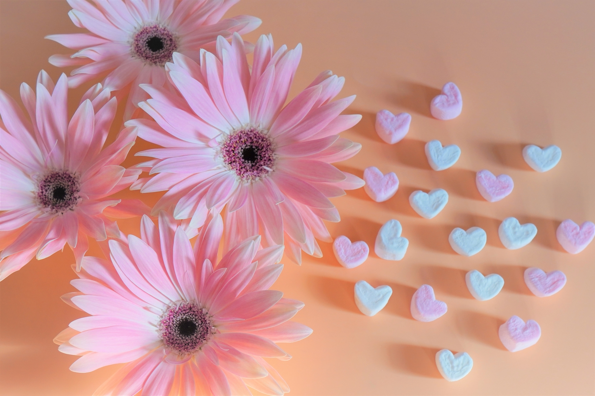 桐島ローランドの妻は 再婚 元嫁 江角マキコ との離婚はなぜ 娘 息子の芸能界入りはある Note