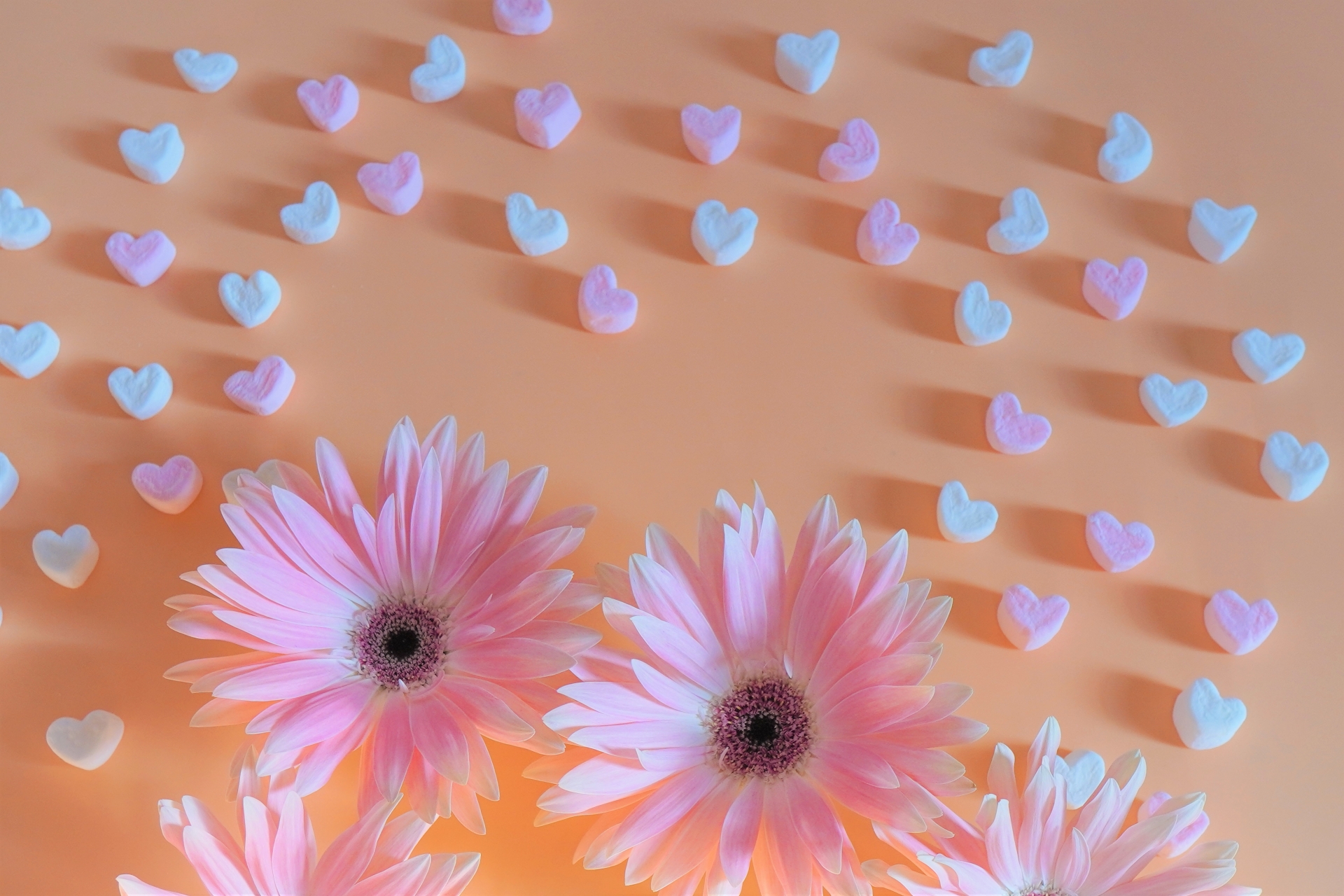 古谷一行の奥さんは 今はどうなった 温泉不倫の真相 息子の苗字が違う Note